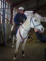 20091115_CSO_Bos_Cheval_Rouge_Laura0011
