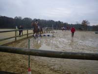 20091115_CSO_Bos_Cheval_Rouge_Laura0012