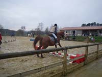 20091115_CSO_Bos_Cheval_Rouge_Laura0013