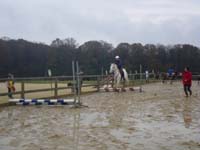 20091115_CSO_Bos_Cheval_Rouge_Laura0015