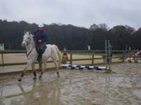 20091115_CSO_Bos_Cheval_Rouge_Laura0016