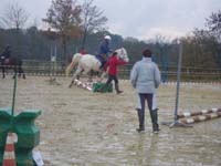 20091115_CSO_Bos_Cheval_Rouge_Laura0020