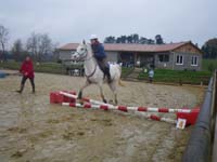 20091115_CSO_Bos_Cheval_Rouge_Laura0021