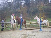 20091115_CSO_Bos_Cheval_Rouge_Laura0023