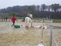 20091115_CSO_Bos_Cheval_Rouge_Laura0029
