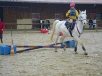 20091115_CSO_Bos_Cheval_Rouge_Laura0032