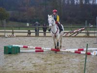 20091115_CSO_Bos_Cheval_Rouge_Laura0034