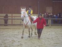 20091115_CSO_Bos_Cheval_Rouge_Laura0037