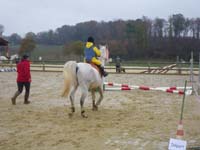 20091115_CSO_Bos_Cheval_Rouge_Laura0038
