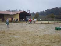 20091115_CSO_Bos_Cheval_Rouge_Laura0039