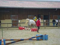 20091115_CSO_Bos_Cheval_Rouge_Laura0043