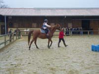 20091115_CSO_Bos_Cheval_Rouge_Laura0045