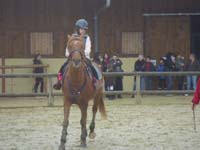 20091115_CSO_Bos_Cheval_Rouge_Laura0046