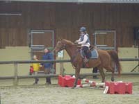 20091115_CSO_Bos_Cheval_Rouge_Laura0049