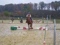 20091115_CSO_Bos_Cheval_Rouge_Laura0052