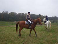20091115_CSO_Bos_Cheval_Rouge_Laura0057