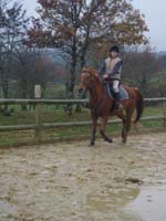20091115_CSO_Bos_Cheval_Rouge_Laura0064