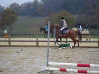 20091115_CSO_Bos_Cheval_Rouge_Laura0069