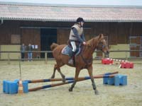 20091115_CSO_Bos_Cheval_Rouge_Laura0071