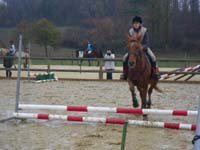20091115_CSO_Bos_Cheval_Rouge_Laura0073