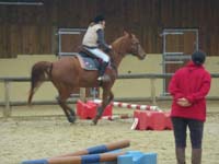 20091115_CSO_Bos_Cheval_Rouge_Laura0074