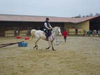20091115_CSO_Bos_Cheval_Rouge_Laura0077