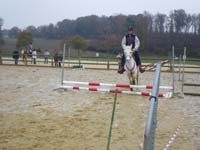 20091115_CSO_Bos_Cheval_Rouge_Laura0079