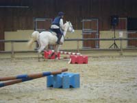 20091115_CSO_Bos_Cheval_Rouge_Laura0080