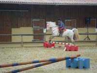 20091115_CSO_Bos_Cheval_Rouge_Laura0085