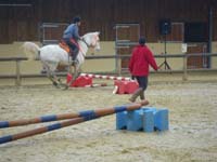 20091115_CSO_Bos_Cheval_Rouge_Laura0089