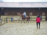 20091115_CSO_Bos_Cheval_Rouge_Laura0095