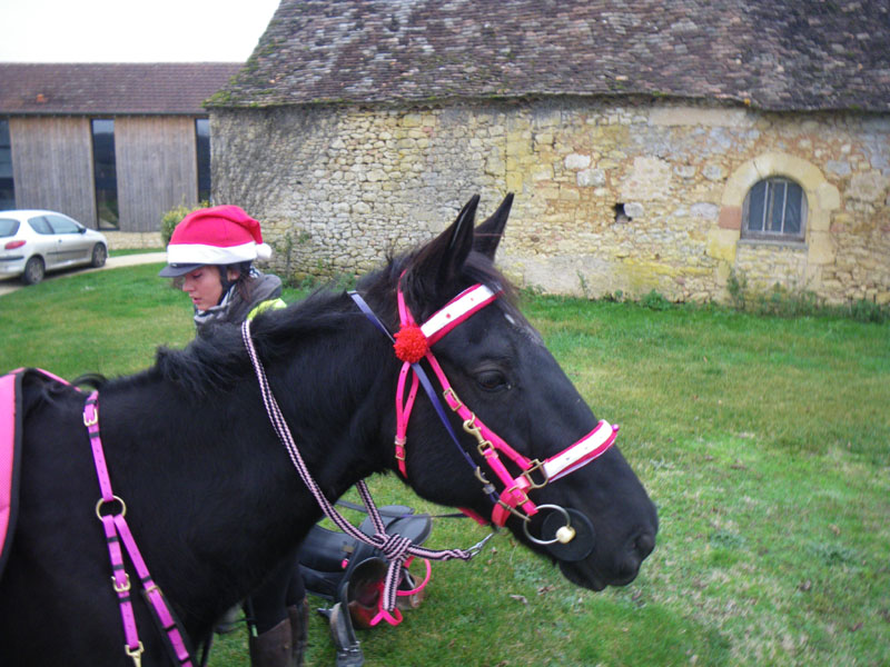 20091213_concoursTRECdeNOEL0037