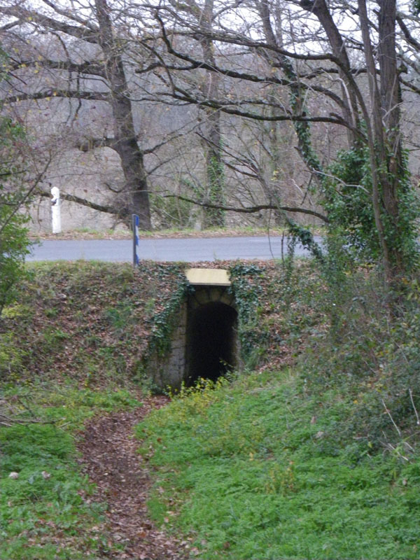 20091213_concoursTRECdeNOEL0076