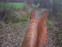 20091213_concoursTRECdeNOEL0006