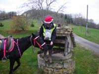 20091213_concoursTRECdeNOEL0054