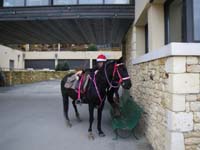 20091213_concoursTRECdeNOEL0079