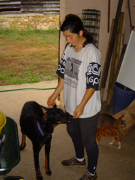 DSC00915