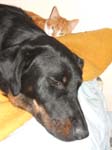 DSCF0799