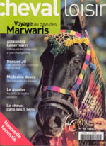 Cheval loisirs