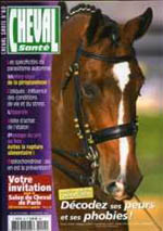 Cheval sant