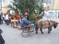 20061223_perenoel0087