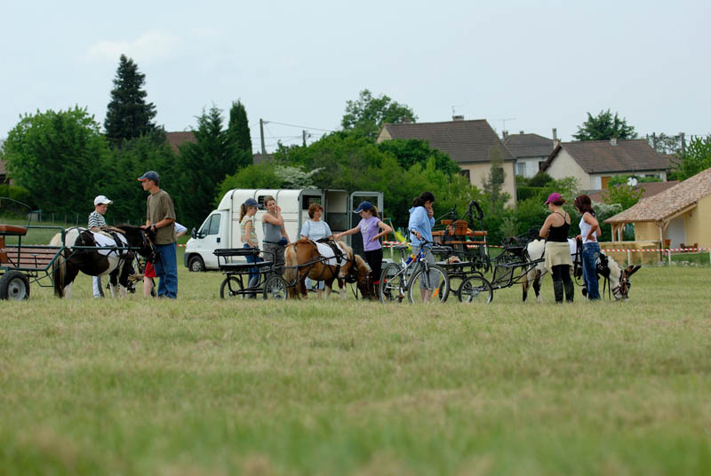 DSC_2771-Raw