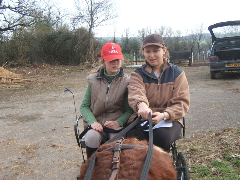 20070222_trec_attele_caro_lindsay0005