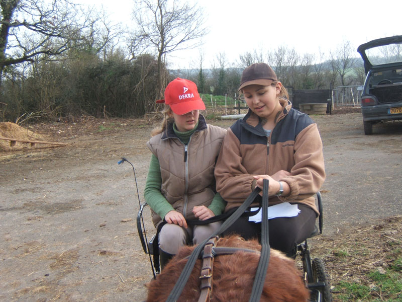20070222_trec_attele_caro_lindsay0006