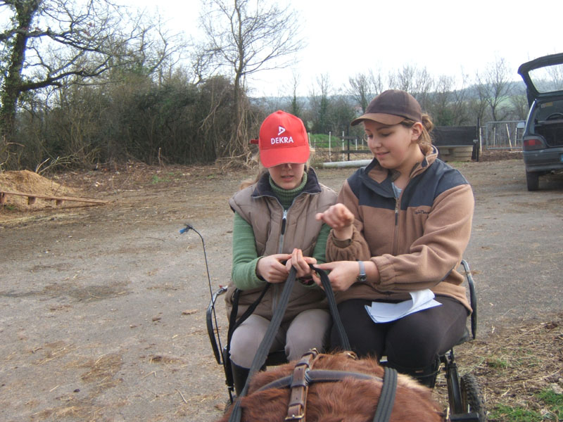 20070222_trec_attele_caro_lindsay0008