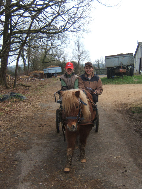 20070222_trec_attele_caro_lindsay0017