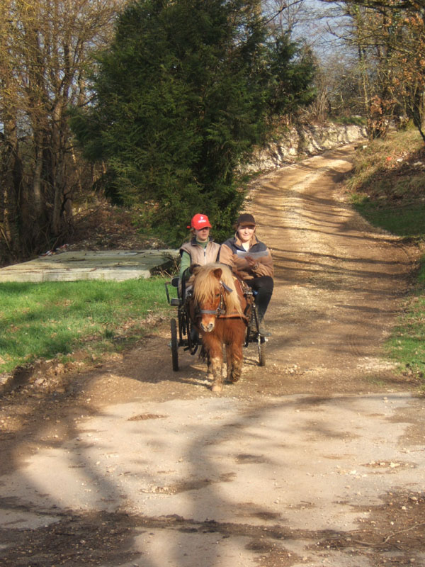 20070222_trec_attele_caro_lindsay0073