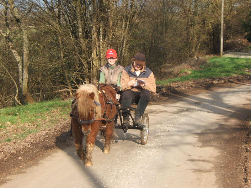 20070222_trec_attele_caro_lindsay0080