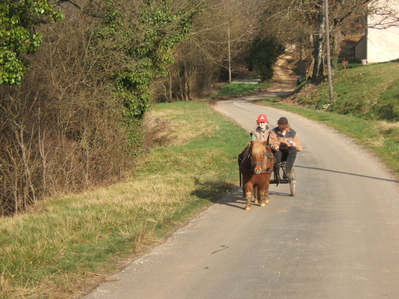 20070222_trec_attele_caro_lindsay0082