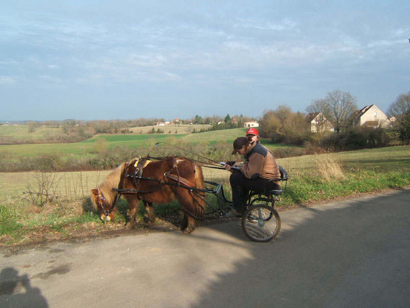 20070222_trec_attele_caro_lindsay0088